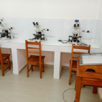 Espace de laboratoire pour la microscopie des communautés fongiques