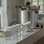 Espace de laboratoire pour la culture des tissus fongiques